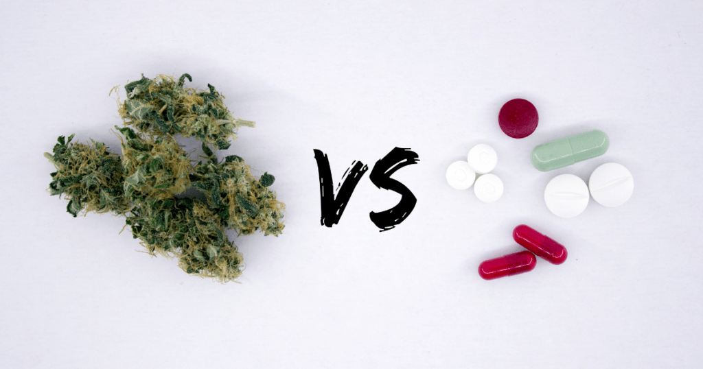 weed Politics Today Is Everything That Our Parents Taught Us Not to Do: Yelling, Lying, Bullying, and Being Disrespectful in Public