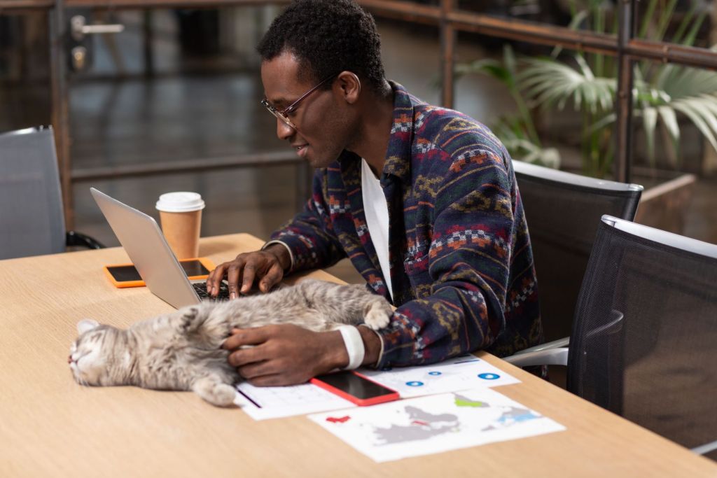 Cat Work Day Work From Home