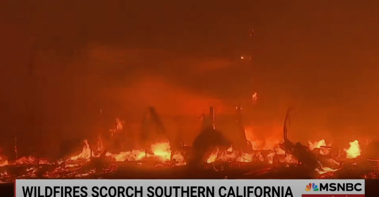 LA fires scortched earth