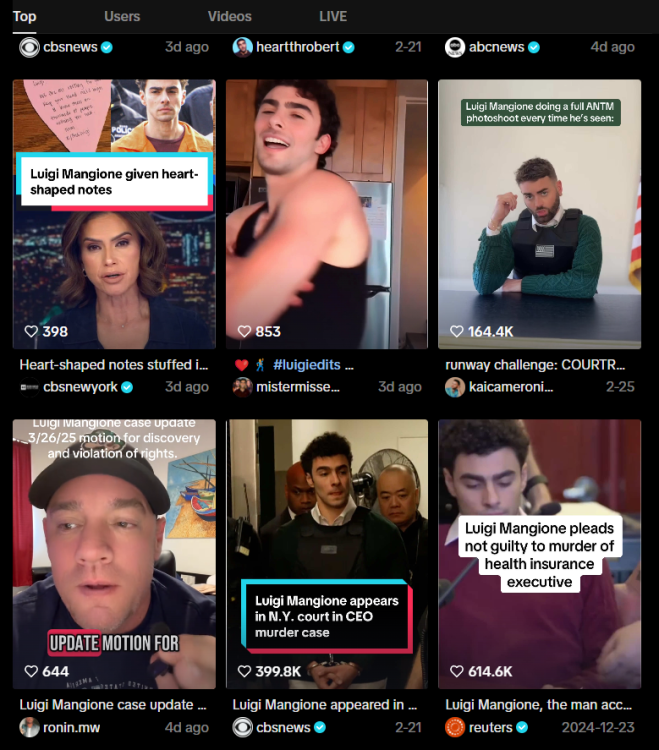Luigi Mangione search results on TikTok