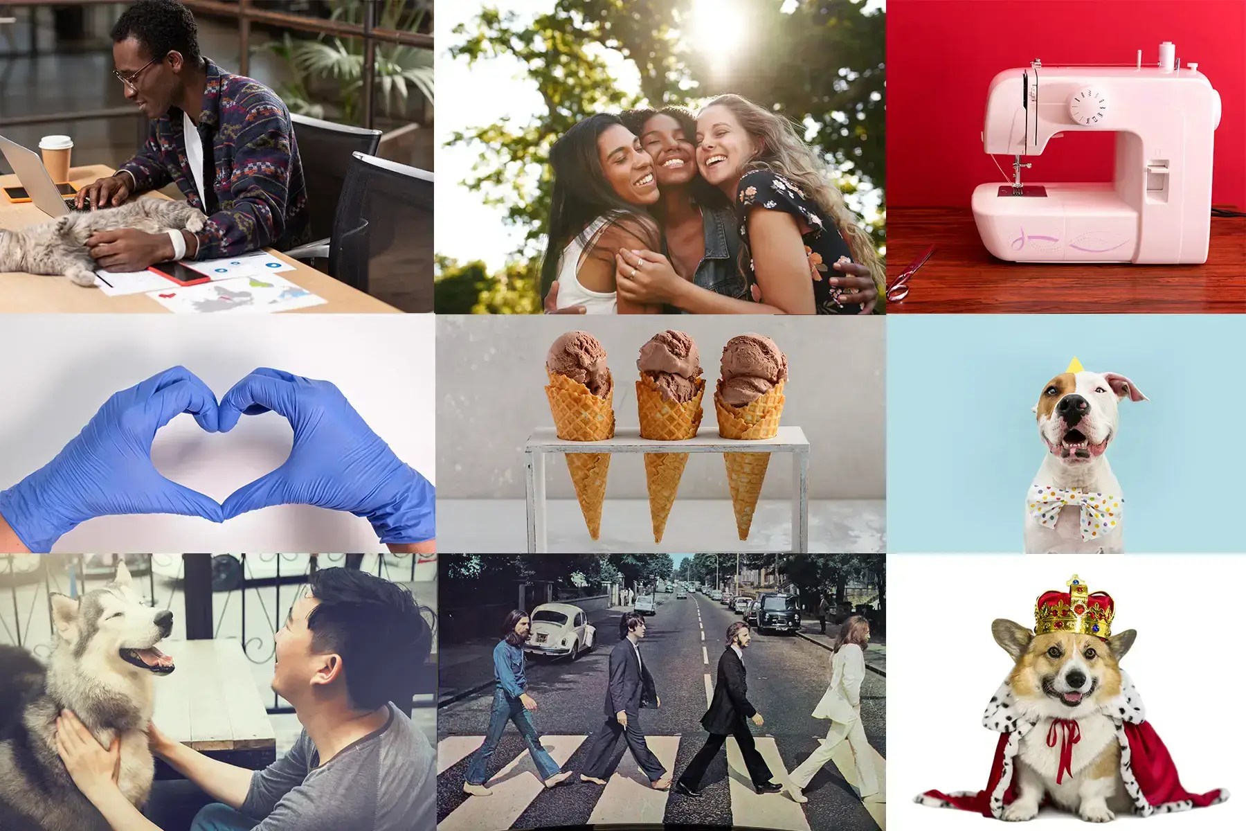 June 2023 Holidays Dogs Pets Cats Pride