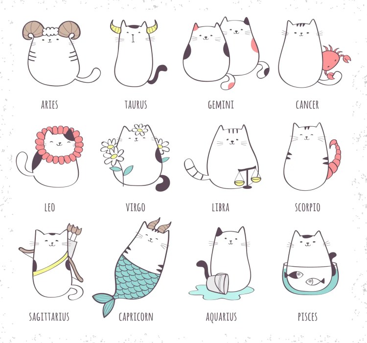 Zodiac cats