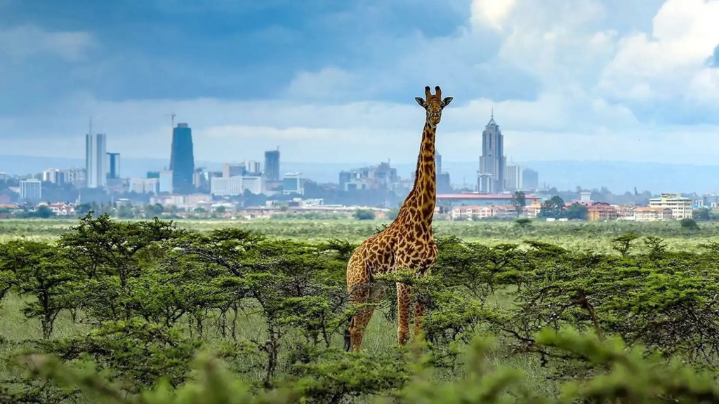 Nairobi, Kenya – 5 Places to See if an African Safari is on your Travel Bucket List