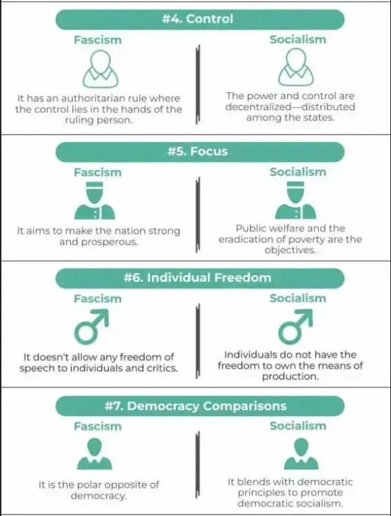 Fascism vs socialism government
